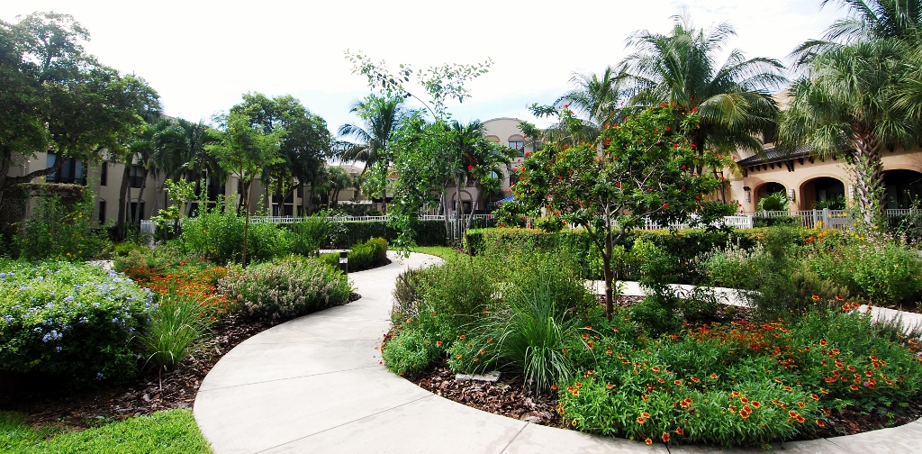 Abbey Delray Butterfly Garden at Four Months.