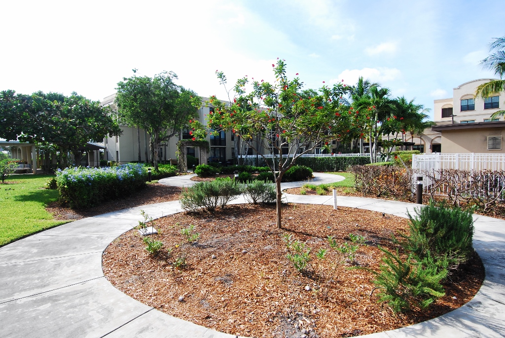 Start of Abbey Delray Butterfly Garden in June, 2023