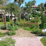 Boca Raton Community Garden
