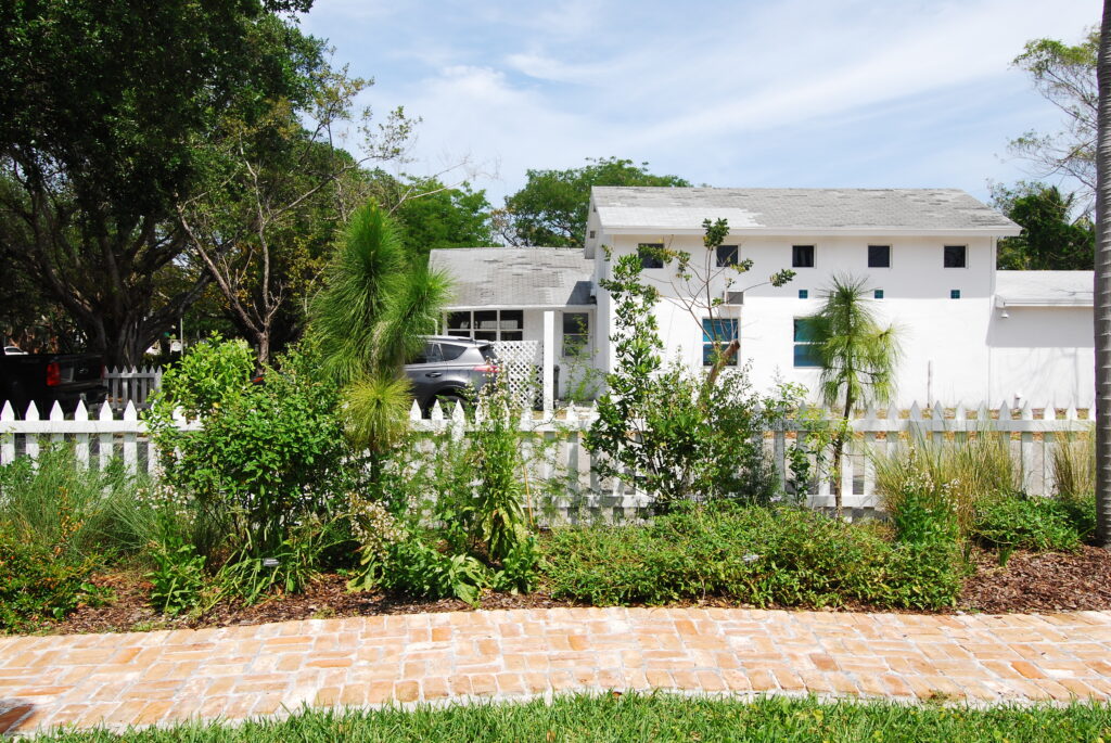 Delray Historical Society Pineland Planting One Year