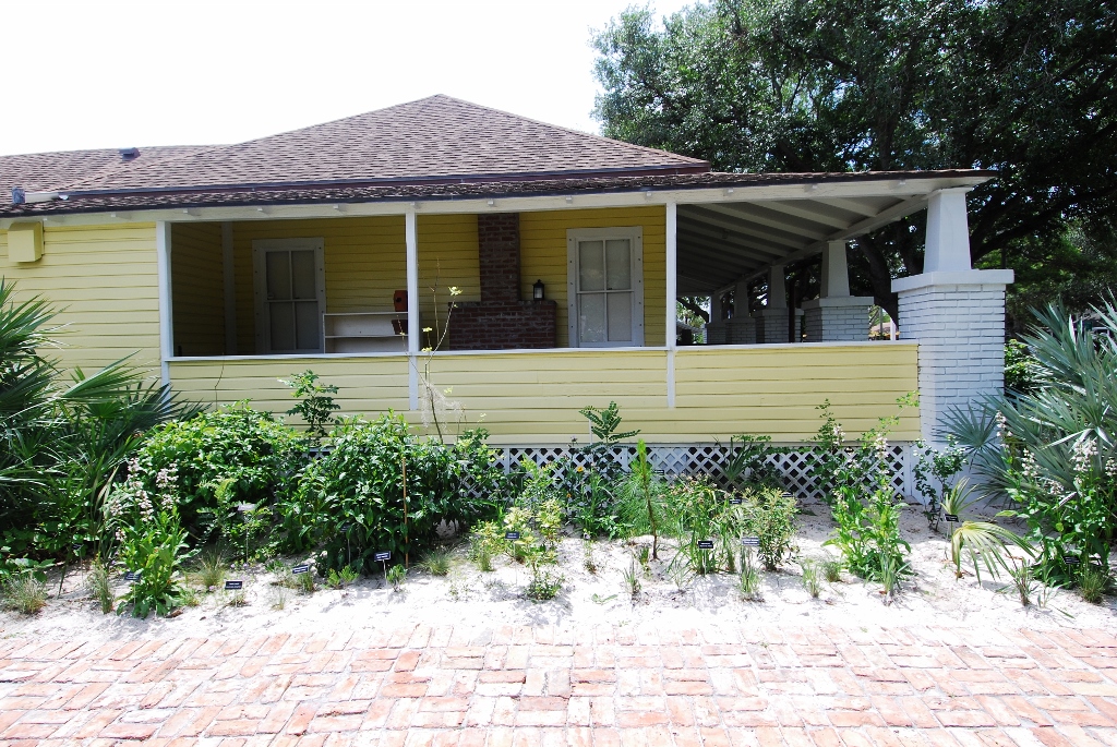 Delray Historical Society Scrub Planting