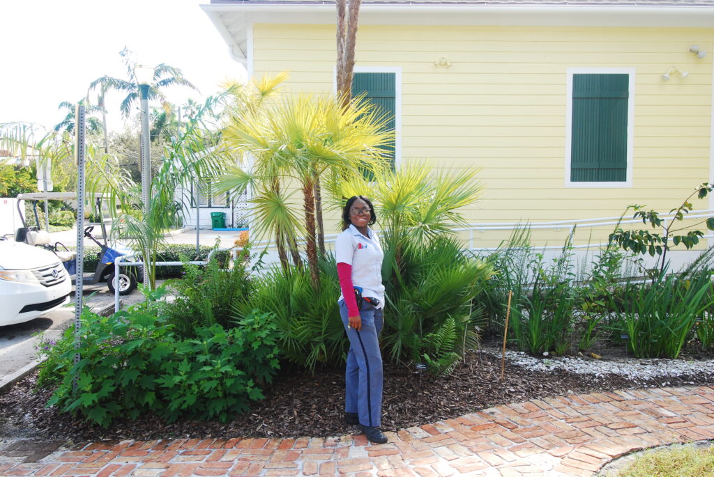 Delray Historical Society Wetland Forest