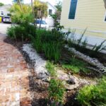 Delray Historical Society Wetland Forest