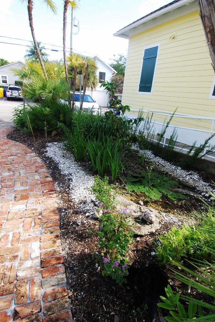 Delray Historical Society Wetland Forest